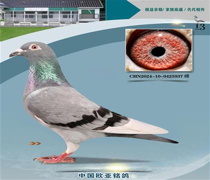 XRu݆̖X777ĸ
