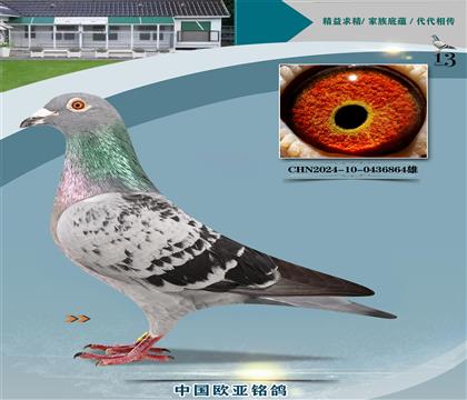 Ͽ˷ǲˡؠ440Xĸ237W䌦