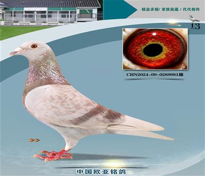 Ͽ˷ǲ˻ؠ440Xĸ237W䌦