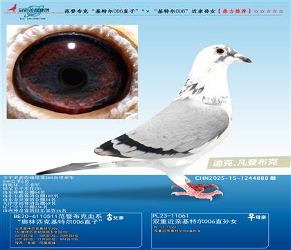 ǲˡؠ006ֱӡؠ006HOŮ