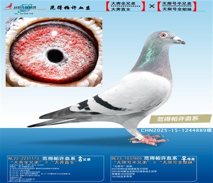 SѪϵo̖Ѫϵ