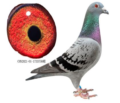 ¸׵ֱOŮr(sh)911OŮ