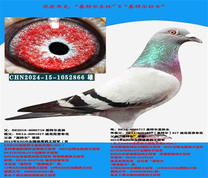 ǲˡؠֱOXؠֱOŮ