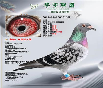 W S_ֱXʿֱŮ  S䌦(du)