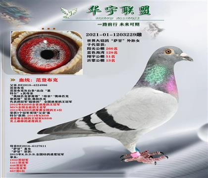 tѪϵ Ͽ˷ _OŮ