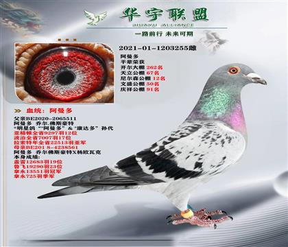  ֱOXֱŮ (jng)䌦(du)