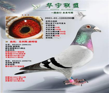  ˹ ղ ׌ֱXֱŮ (jng)䌦(du)