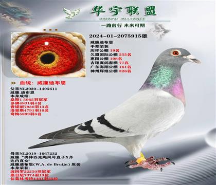  īƶֱXZL(fng)̖(ho)ֱOŮ 피(j)䌦(du)