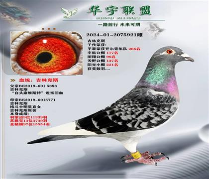 ٶ֮ ֿ˹ ʿ С ^ϯS˹ػѪ
