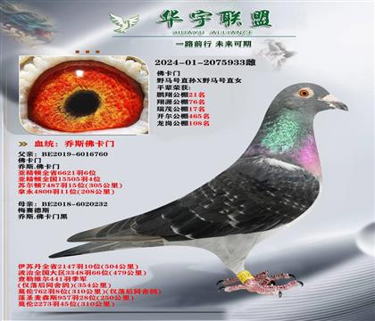 T  ҰR̖(ho)ֱOXҰR̖(ho)ֱŮ (jng)䌦(du)