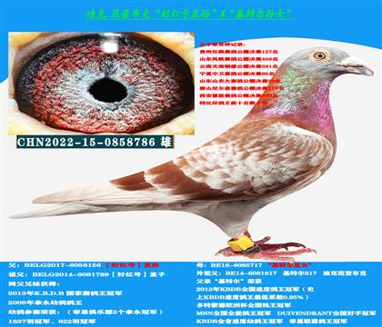 c(din)]ǲ˺üt̖(ho)HN
