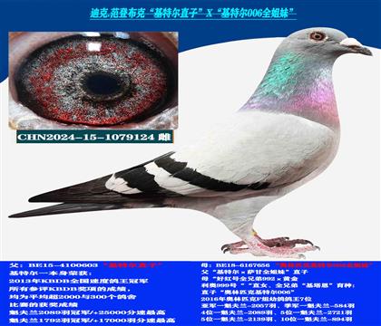 Ͽ ǲˡؠֱXؠ006ȫ