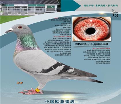 XRXɣʿǹ̖777X(zhn)041ֱ