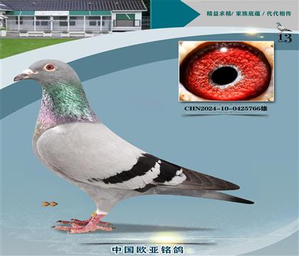 ?sh)?03N183X199HS䌦