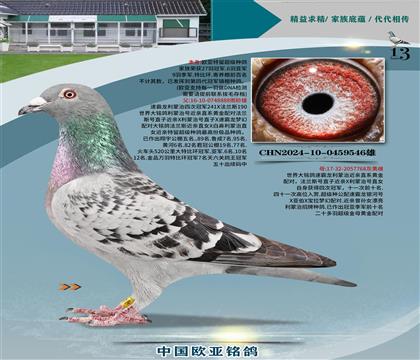 ٰ888X768S䌦(du)