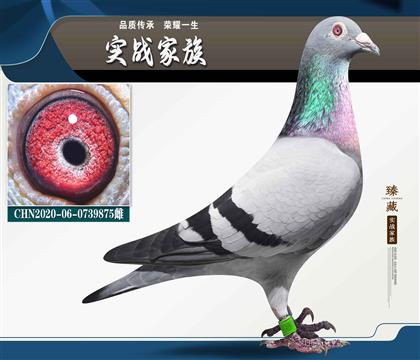 õķῨHѪ
