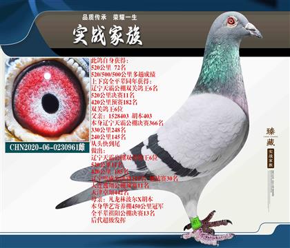 궼Ac(din) (sh)(zhn) 520 72