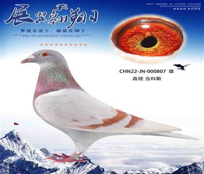 速度狂魔 當科斯一關上岸807