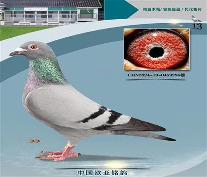 XRu݆̖447Xǹ̖H