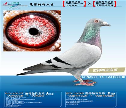 ˹Ѫϵ޺Ѫϵ