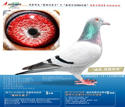 ǲˡضֱӡض006ȫá