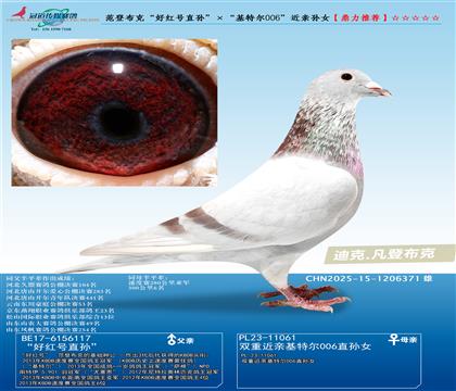 ǲˡúֱض006Ů