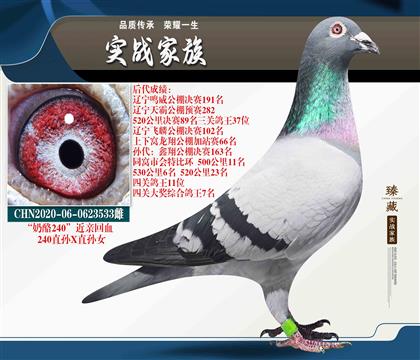26-ҡ240HѪ
