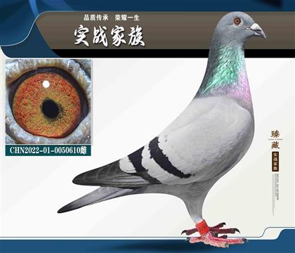 2200fСB .RͿˡ