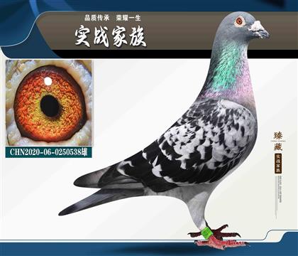 东方不败- 10名
