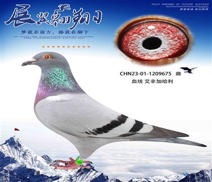·䱣ʱ911׻Ѫ675