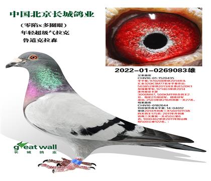 ǸҵȱXȦۡ