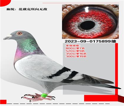 ޵  8007