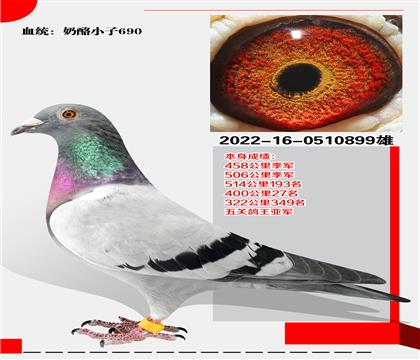 С690 ظǾ
