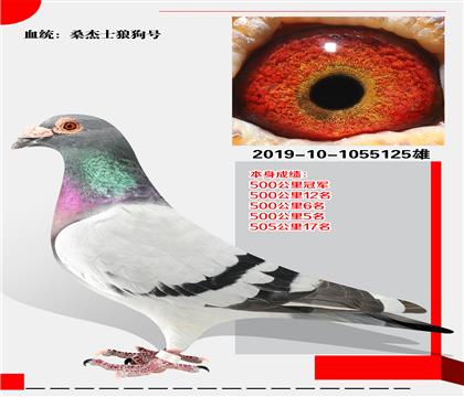 ɣʿǹ  ٻ500ھ
