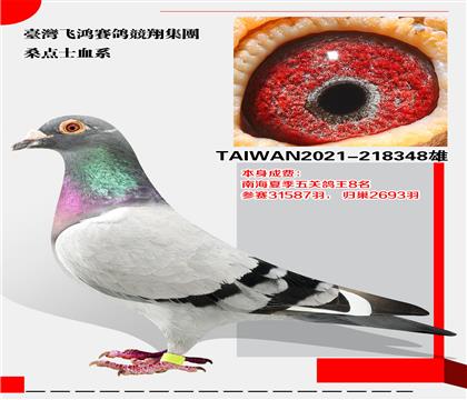 ̨ɺ뼯 ظ8