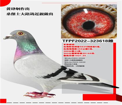 ̨ɣʿ 58256