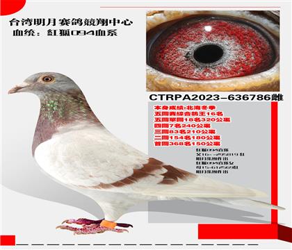 ̨뼯š094Ѫϵ 16