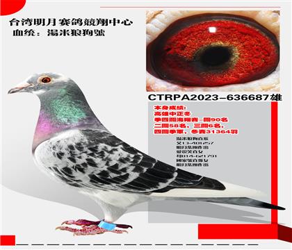 ̨뾺衰ǹš