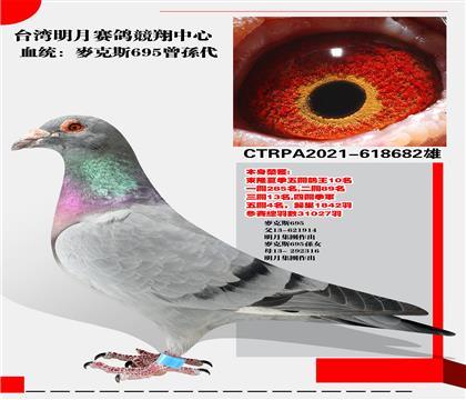 ̨뾺 ˹695