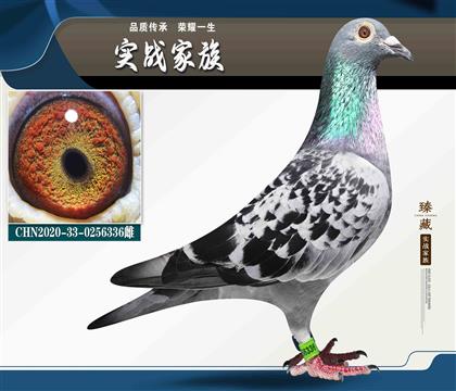 连续多代发挥 东方不败 8名