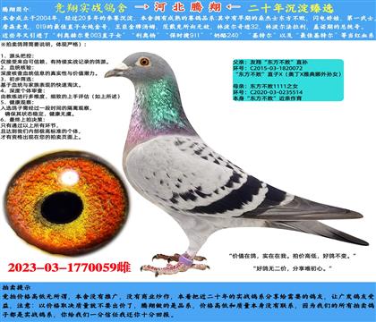 衰|ֱOX|11111ֱŮ