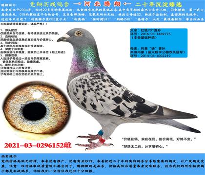 t731ֱOXWOŮ