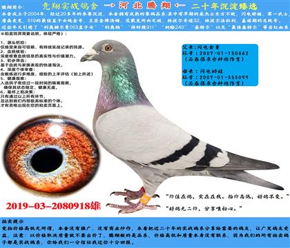 õĹW늋ޡʯW늋ޡɣʿ