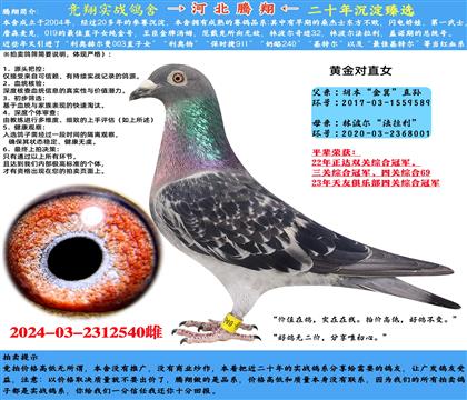 (j)]S䌦(du)̖(ho)ֱOXֲ