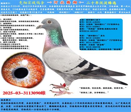 r(sh)911ֱXr(sh)911ֱŮ