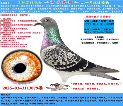 (j)]S䌦(du)ֱӡ̖(ho)ֱXֲ