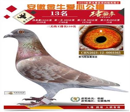 Qِ13