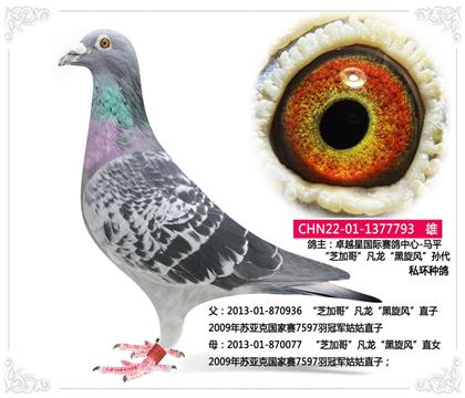 ׿ԽǇHِ--֥Ӹ硱LO--