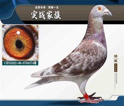 彼得曼德斯052 热身赛5名