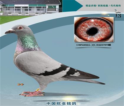 ·˹һS䌦(du)H